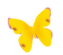 dsgn_356_butterfly.png