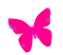 dsgn_356_butterfly_2.png